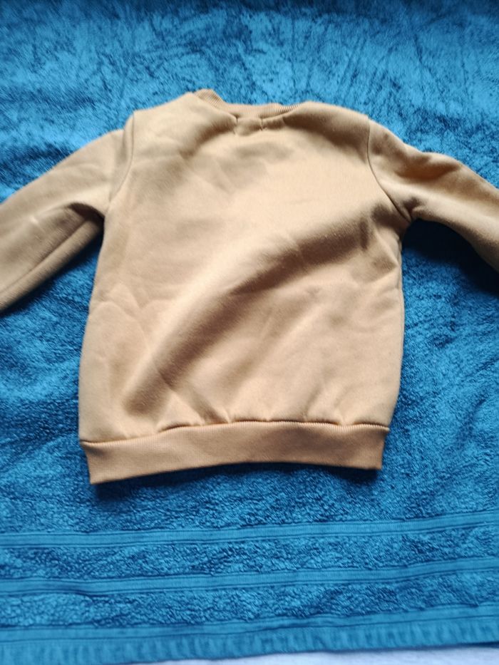 Pull raton laveur - photo numéro 3