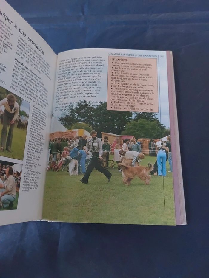 Vous et votre chien - photo numéro 8