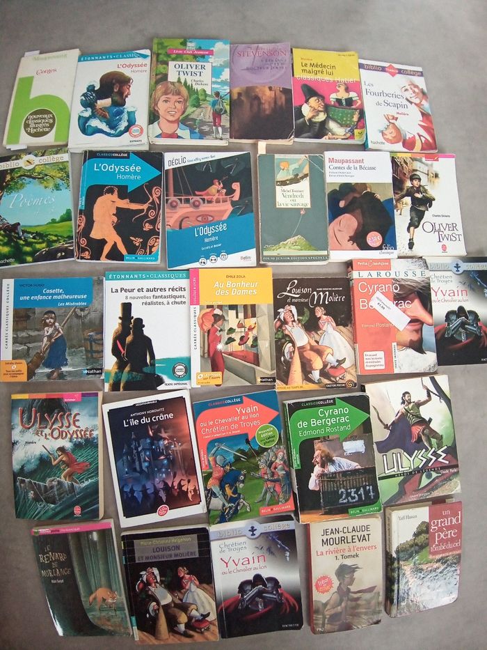 Livres collège