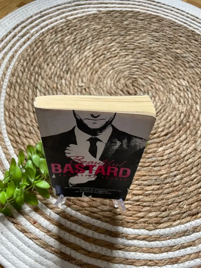 Livre - Beautifull Bastard - photo numéro 2