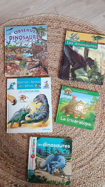 Lot de livres éducatifs sur les dinosaures