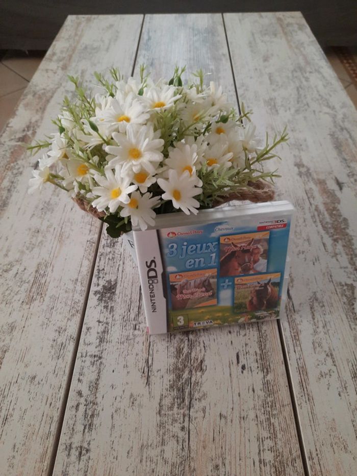 3 jeux en 1 Ds cheval - photo numéro 1