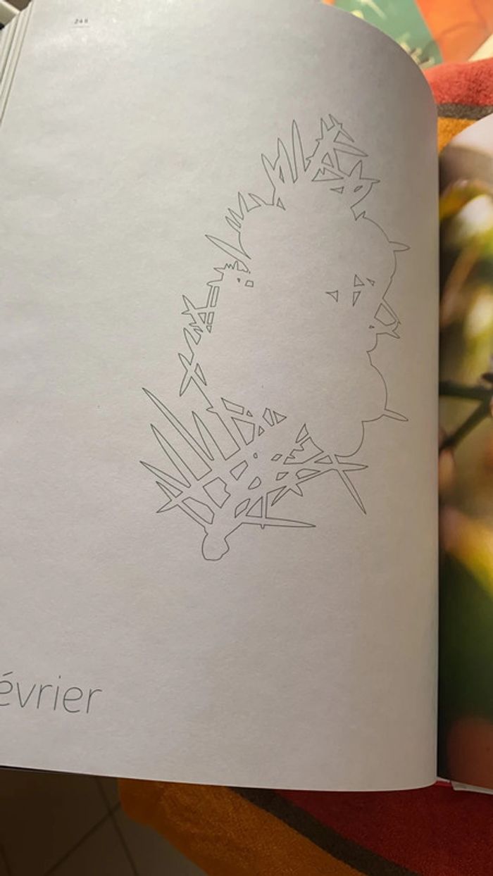 Livre mon herbier 48 plantes à connaître, à collectionner et à conserver tana éditions - photo numéro 9