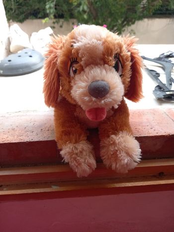 Peluche belle de la belle et le clochard de Disney 33cm environ + un petit clochard