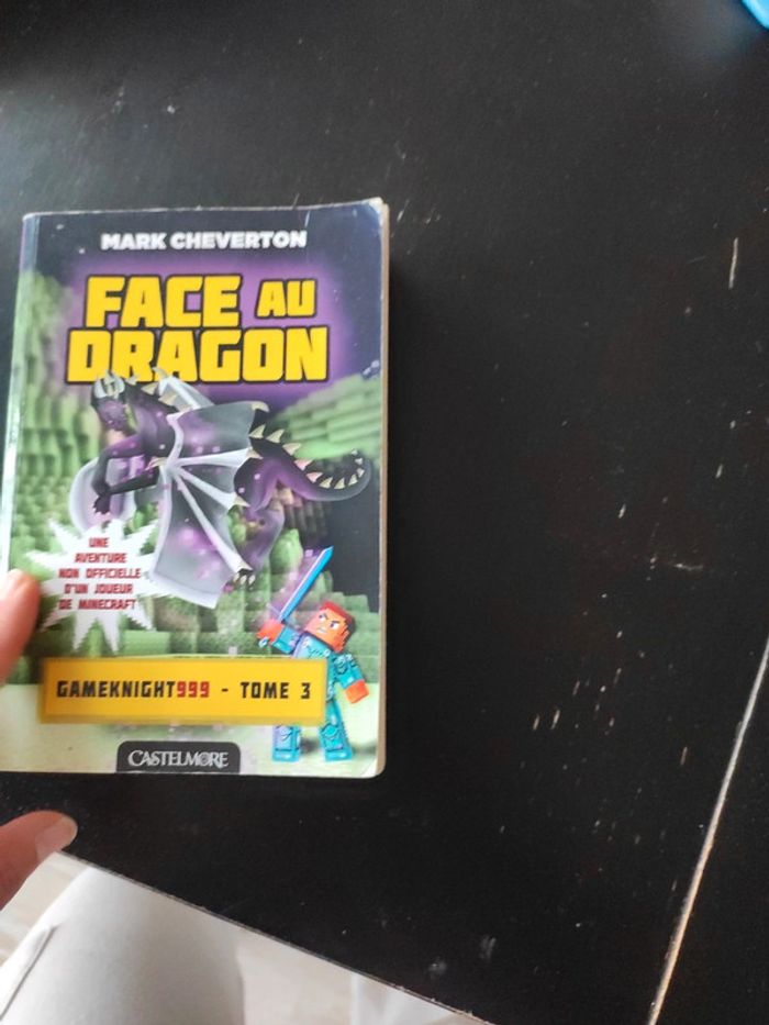 Face au dragon - photo numéro 4