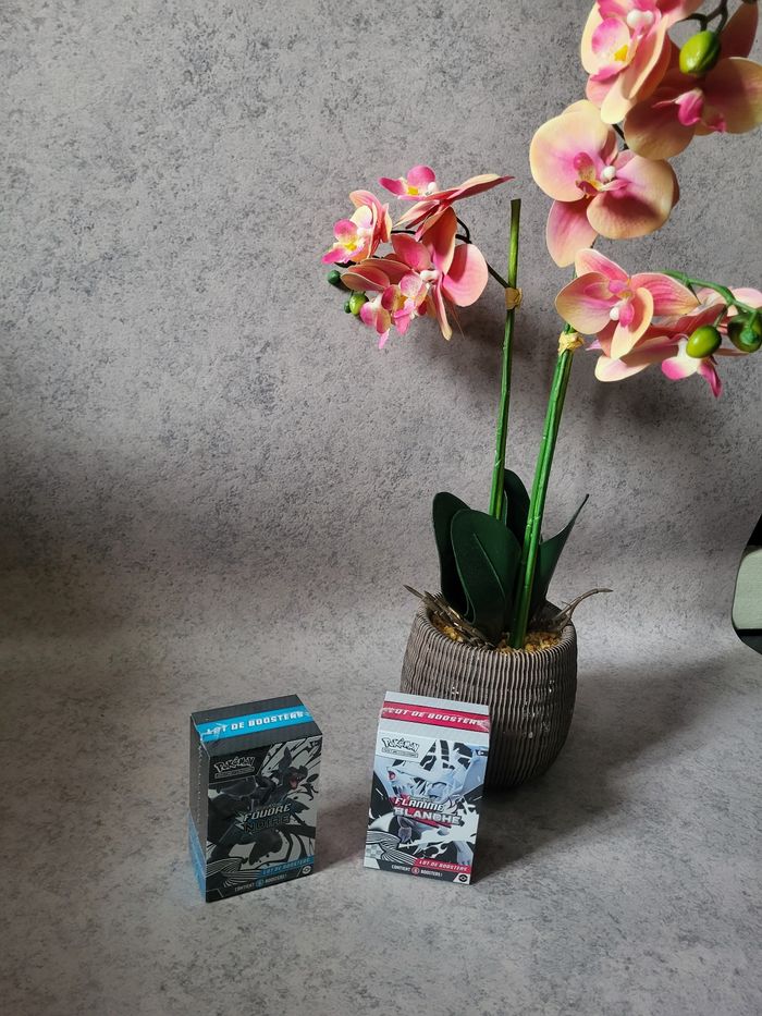 Pokémon Coffret Bundle Foudre Noire / Flamme Blanche Ev10.5 Fr - photo numéro 2