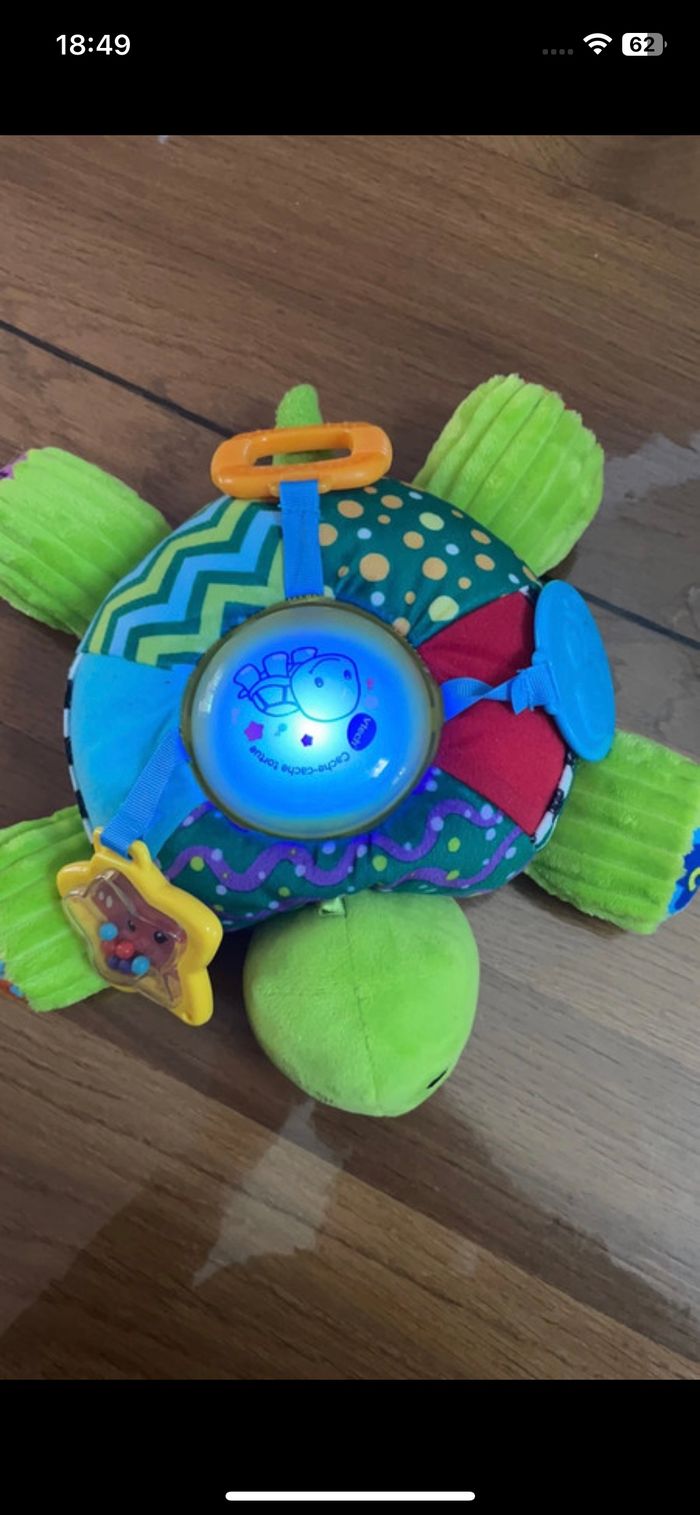 Cache cache tortue - photo numéro 3