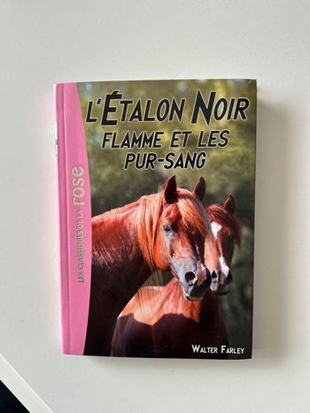 Livre l’étalon noir