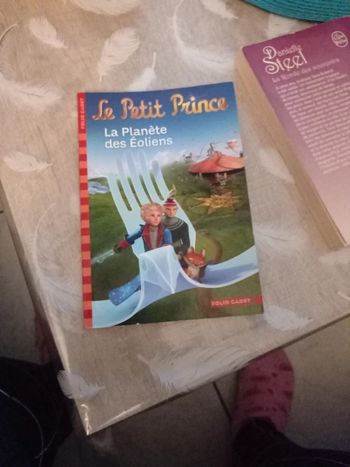 Livre le petit prince