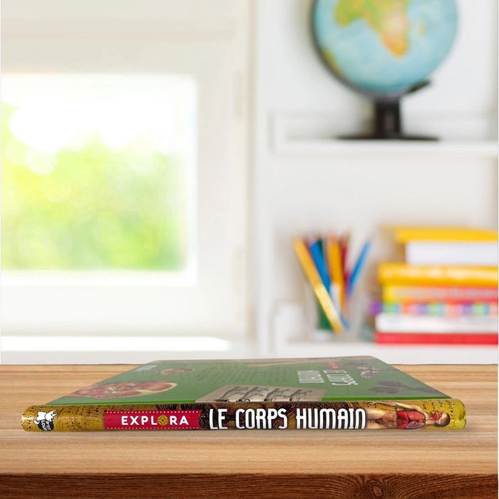 Livre éducatif illustré grand format + poster géant - Le corps humain - photo numéro 7