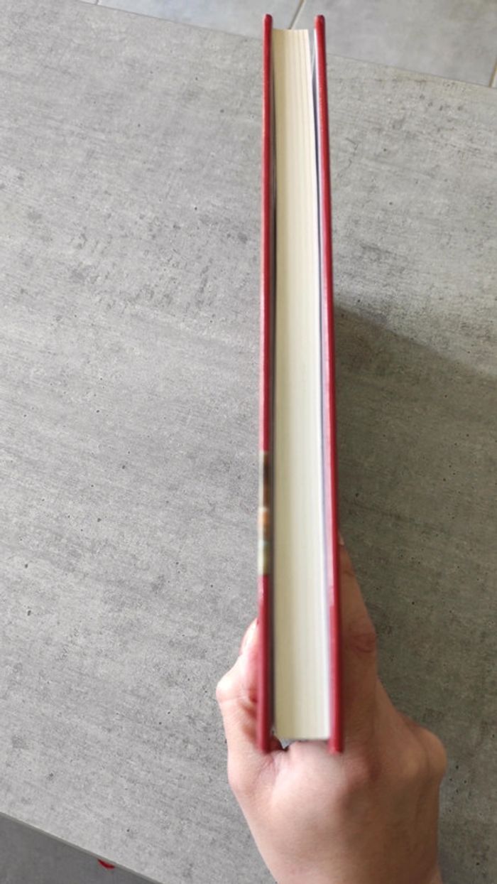 Livre sur le labrador retriever - photo numéro 4