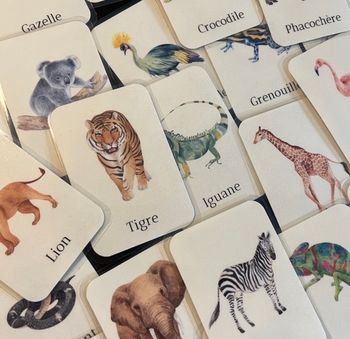 Jeu de cartes des animaux exotiques