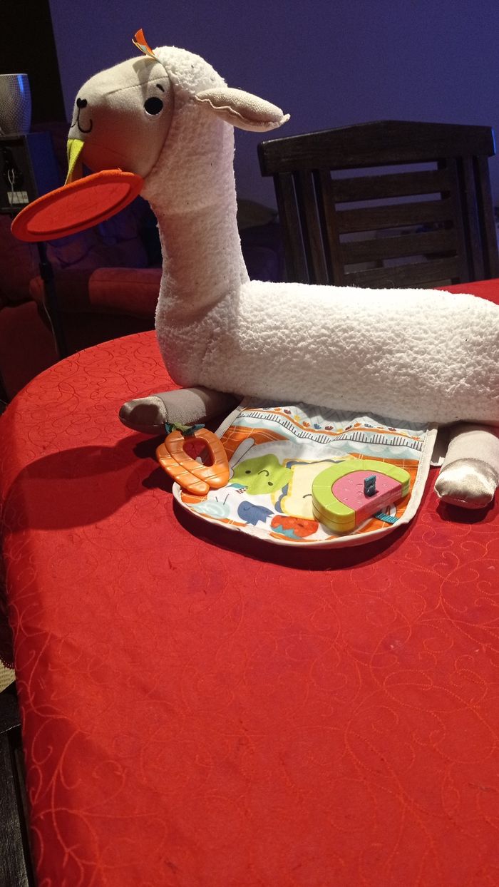 Lama éveil bébé - photo numéro 7