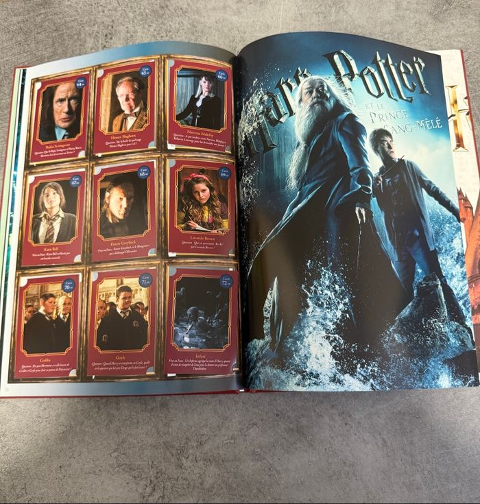 Album « Harry Potter » - photo numéro 6
