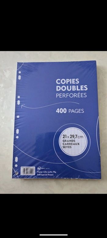 Lot de 400 copies doubles perforées grands carreaux. Taille : 21 x29,7 cm