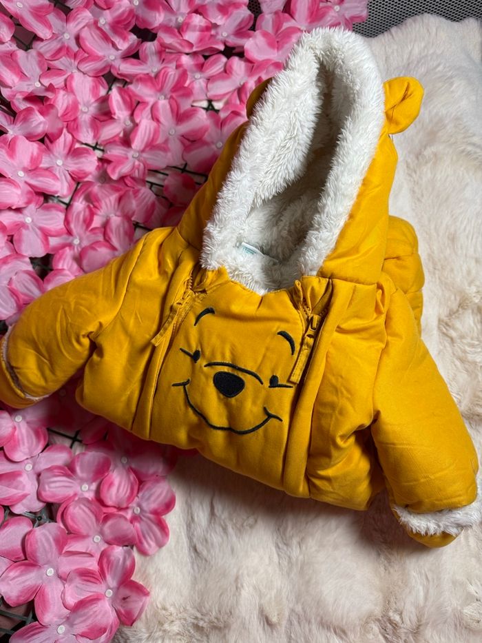 Combi pilote - photo numéro 3