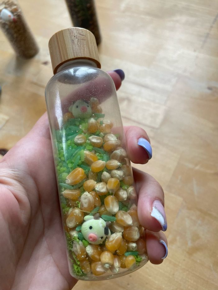 Bouteilles sensorielles - photo numéro 4