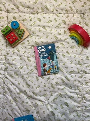 livre bibliothèque rose les cinq et le trésor de Roquépine tome 36