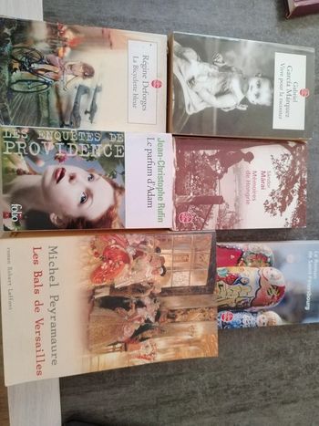 6 romans fedorovski, rufin, peyramaire, deforges