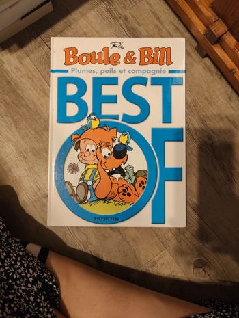 Boule & bill best of