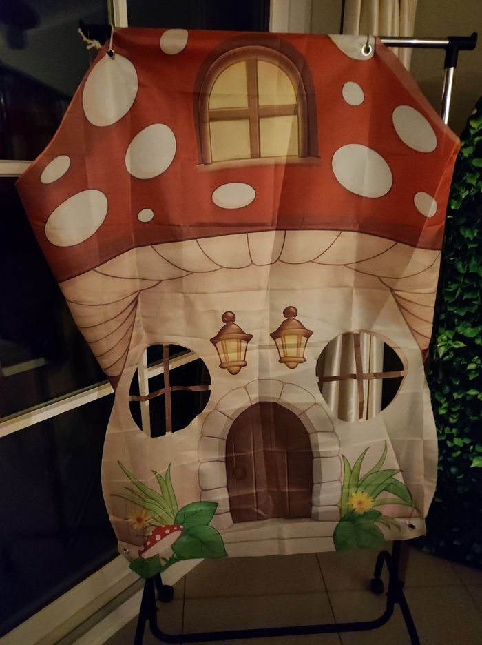 Fond photo champignons