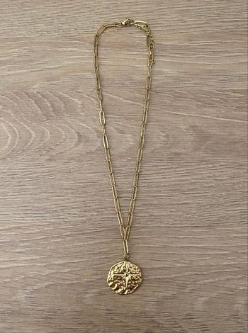 Collier acier médaillé 