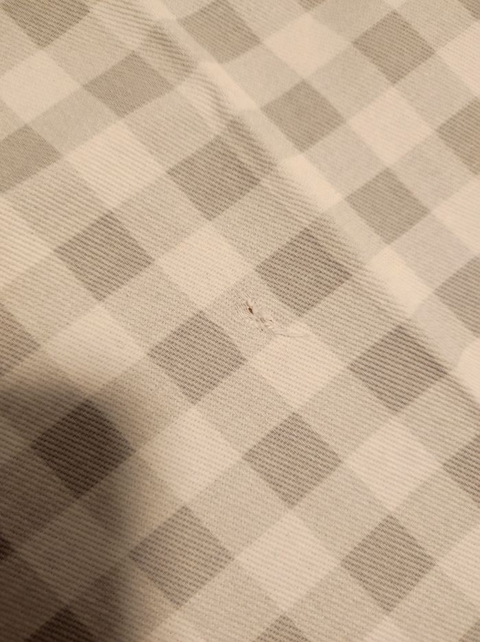 Napperon - photo numéro 6