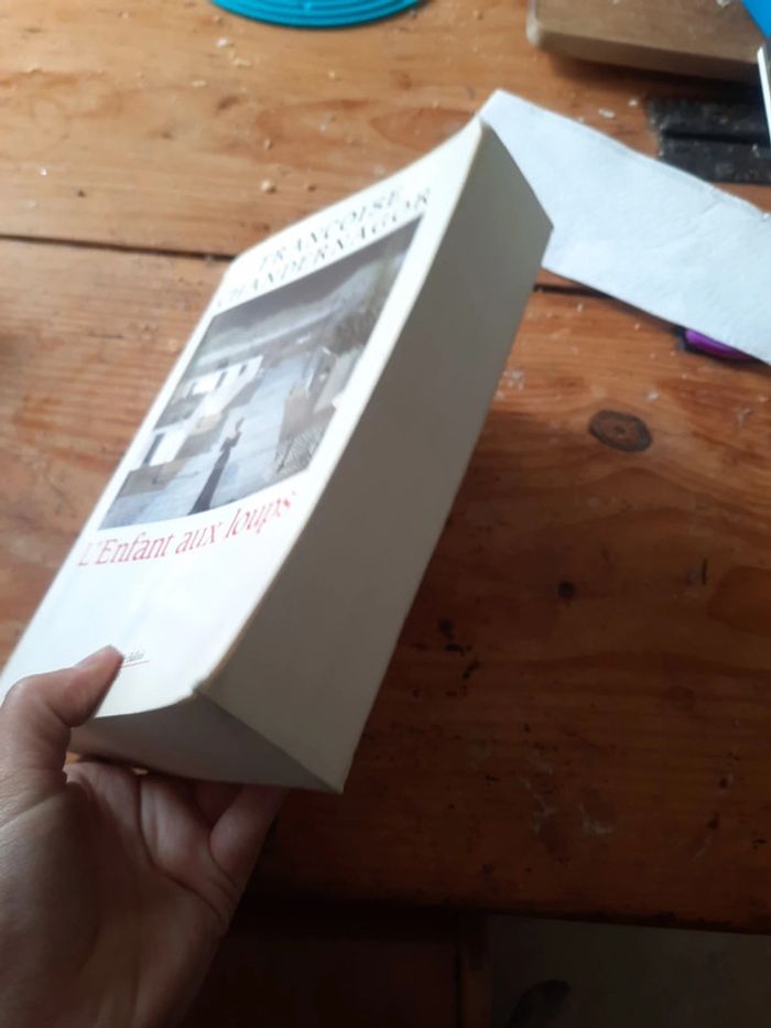 Gros livre l'enfant au loups - photo numéro 4