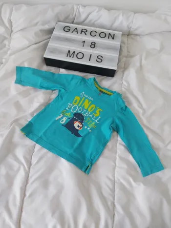 Tee-shirt manche longue garçon 18 mois
