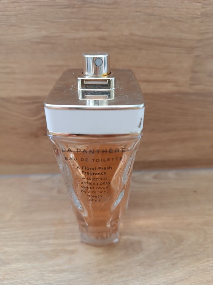 La panthère de Cartier - photo numéro 2