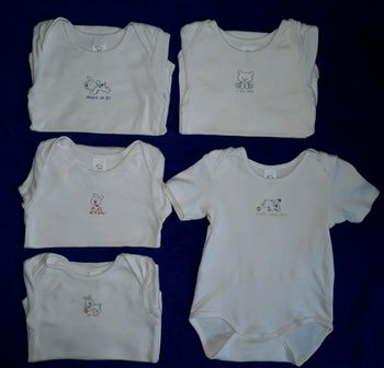 5 bodies manches courtes 12 mois