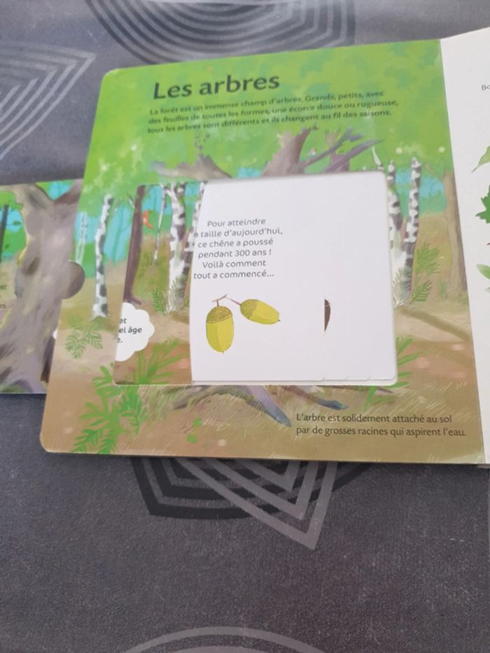 La forêt - photo numéro 4