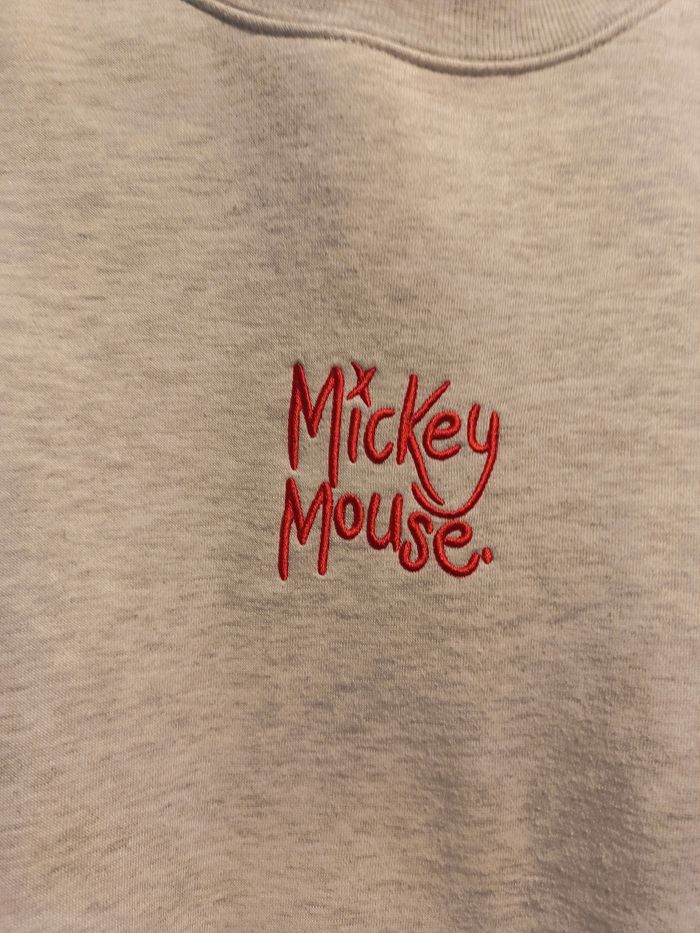 Pull Disney - photo numéro 2