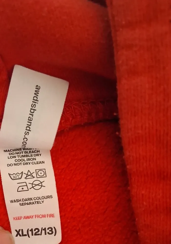 Sweat à Capuche taille 12/13 ans - photo numéro 3