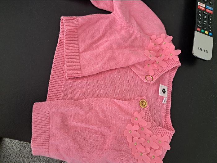 2 gilets - photo numéro 2