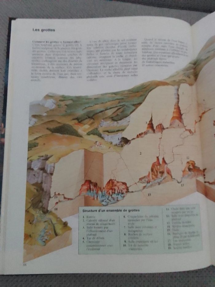 ABC de la nature - photo numéro 3