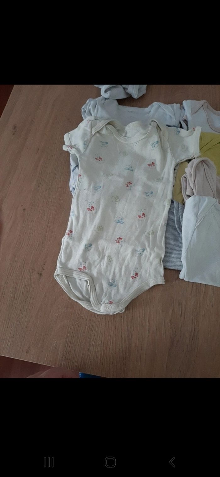 Lot de 12 bodys manches courtes taille 12 mois - photo numéro 7