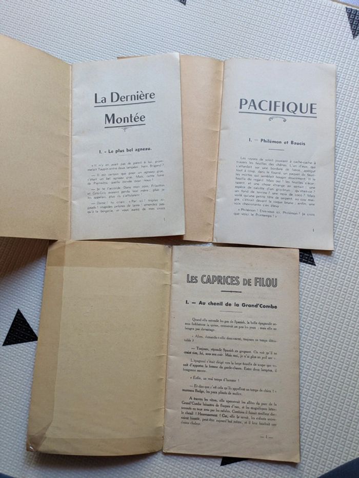 Lot de 3 livres de lecture courante - photo numéro 4