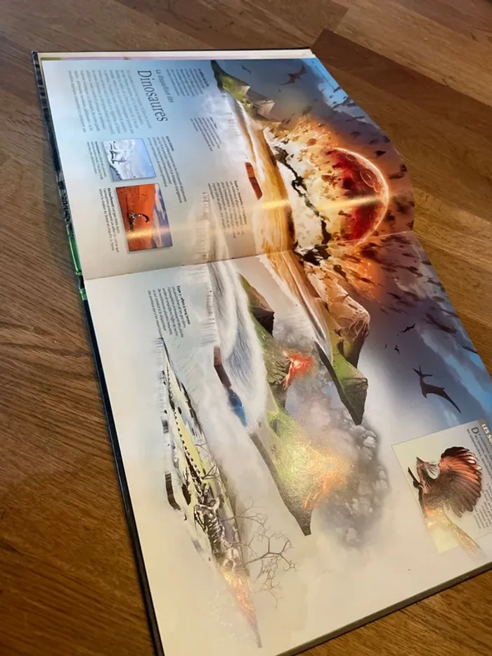 Livre Les dinosaures À la loupe - photo numéro 9