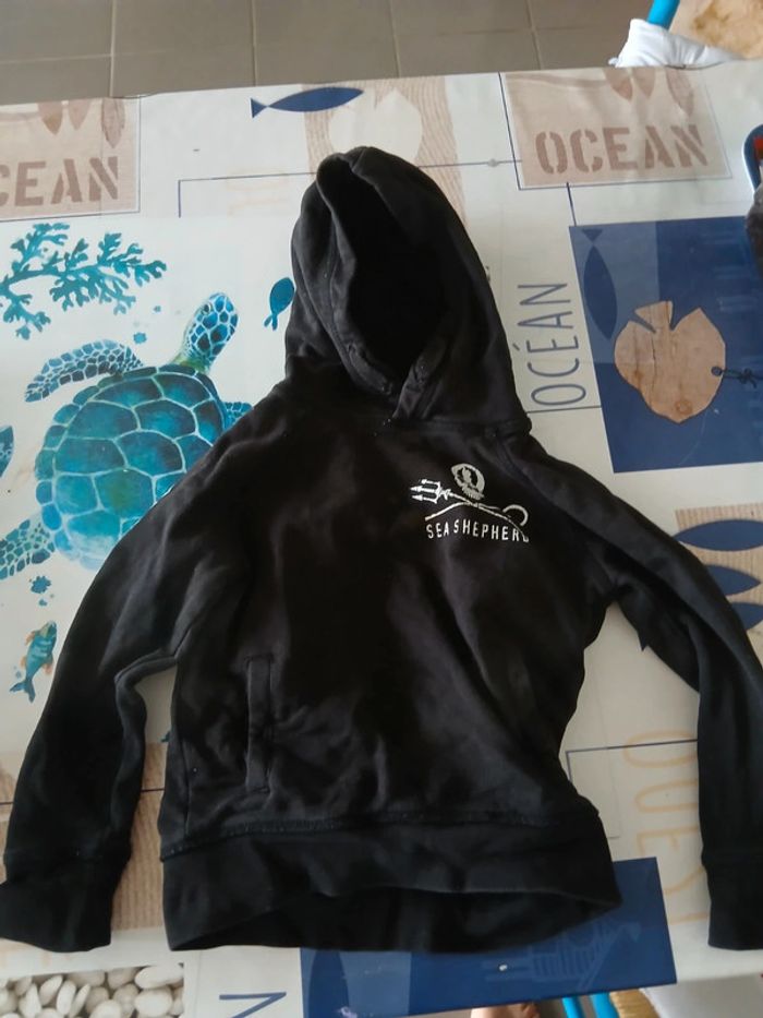 Pull sea shepherd