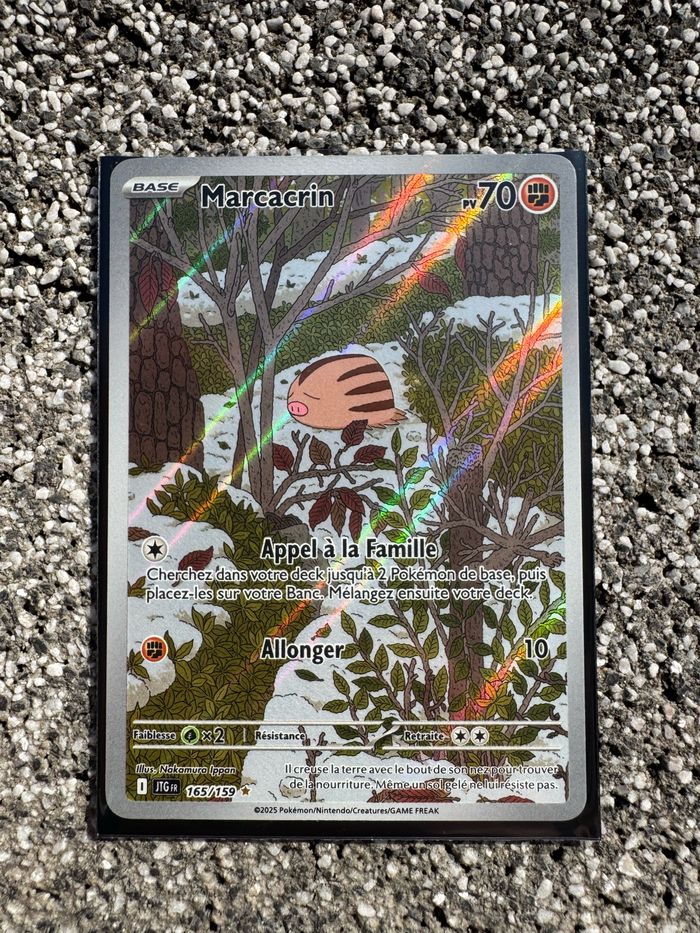 Carte Pokémon - Marcacrin 165/159 - Aventures Ensemble EV09 FR NEUVE - photo numéro 2