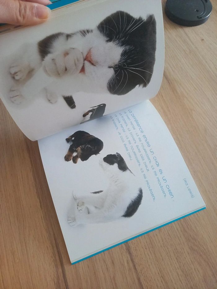 Le livre des petites truffes - photo numéro 3