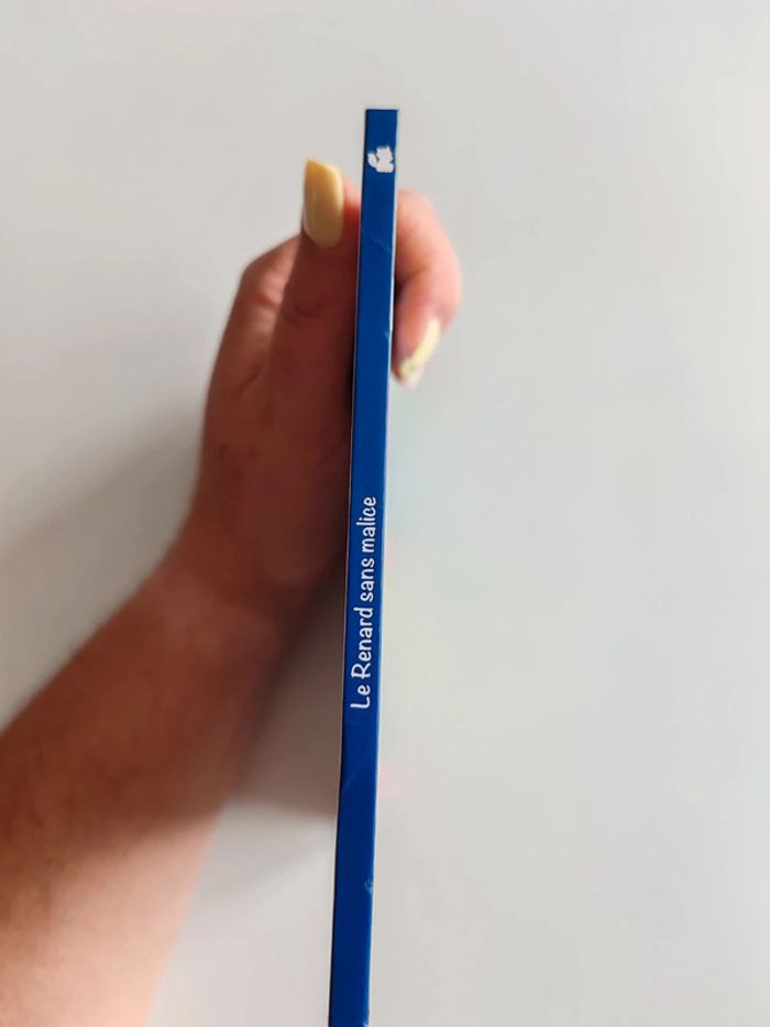 Livre Merveilles de France - photo numéro 3
