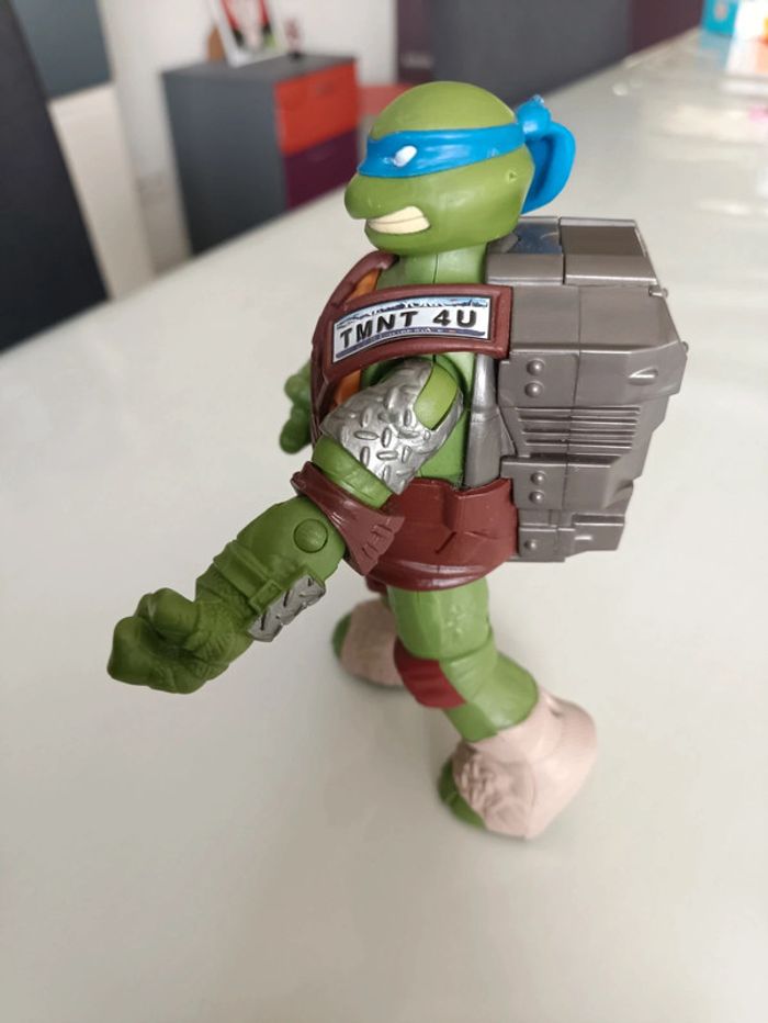 Tortue ninja - photo numéro 2
