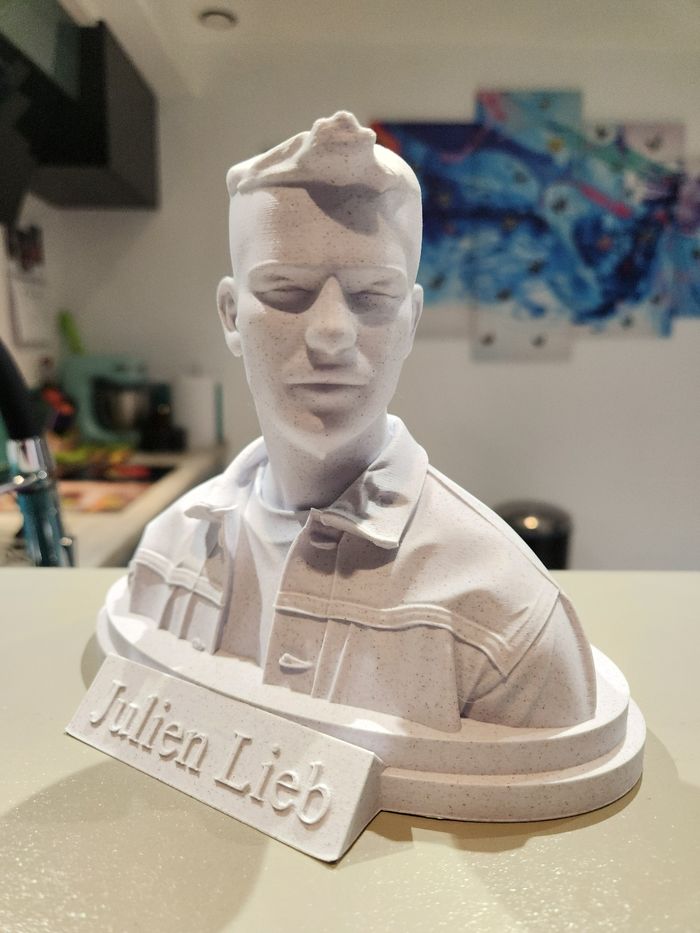 🎶 Star Académie – Julien Lieb – Buste collector – Figurine décorative - photo numéro 7