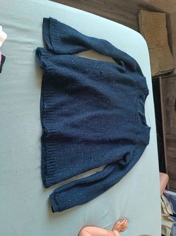 Pull bleu