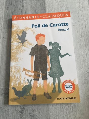 Livre poil de carotte