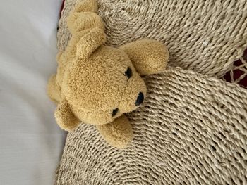 Doudou ours chien  beige 