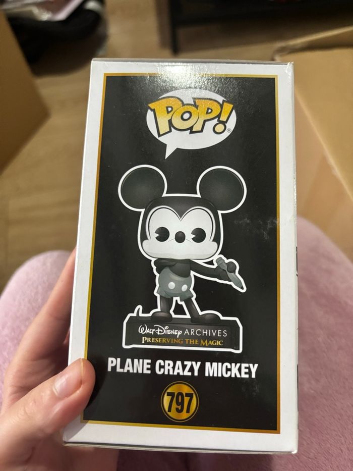 Pop Mickey - photo numéro 3