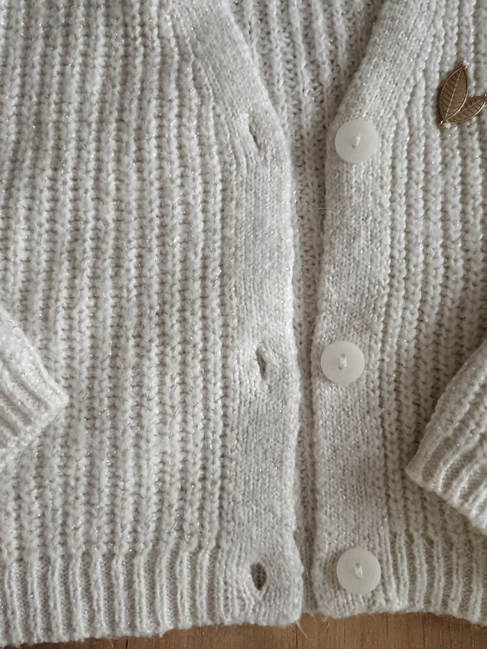 Gilet - photo numéro 4